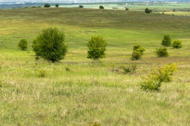 Lyulin Dağı 'nın bahar manzarası, Sofya Şehir Bölgesi, Bulgaristan