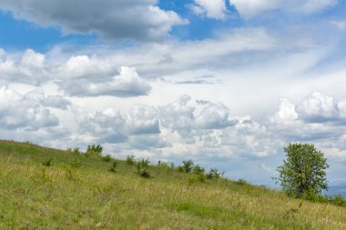 Lyulin Dağı 'nın bahar manzarası, Sofya Şehir Bölgesi, Bulgaristan