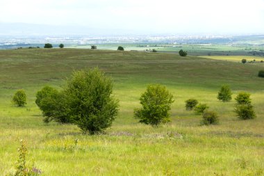 Lyulin Dağı 'nın bahar manzarası, Sofya Şehir Bölgesi, Bulgaristan
