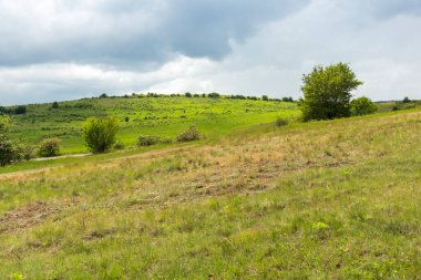 Lyulin Dağı 'nın bahar manzarası, Sofya Şehir Bölgesi, Bulgaristan