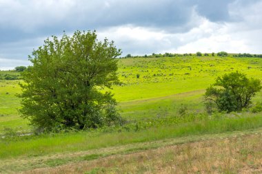 Lyulin Dağı 'nın bahar manzarası, Sofya Şehir Bölgesi, Bulgaristan