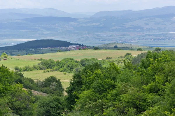 保加利亚索菲亚市柳林山春景 — 图库照片
