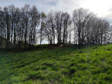 Bahar manzarası Vitosha Dağı, Sofya Şehir Bölgesi, Bulgaristan