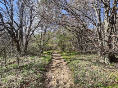 Bahar manzarası Vitosha Dağı, Sofya Şehir Bölgesi, Bulgaristan