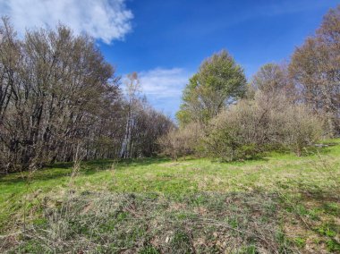 Bahar manzarası Vitosha Dağı, Sofya Şehir Bölgesi, Bulgaristan