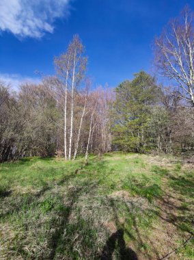 Bahar manzarası Vitosha Dağı, Sofya Şehir Bölgesi, Bulgaristan