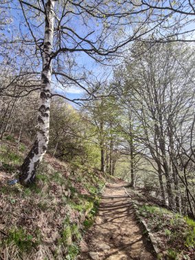 Bahar manzarası Vitosha Dağı, Sofya Şehir Bölgesi, Bulgaristan