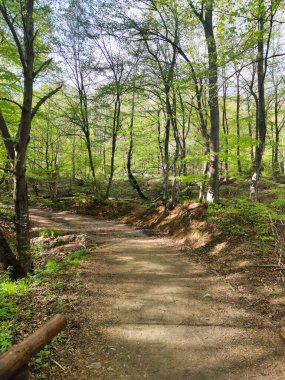 Bahar manzarası Vitosha Dağı, Sofya Şehir Bölgesi, Bulgaristan