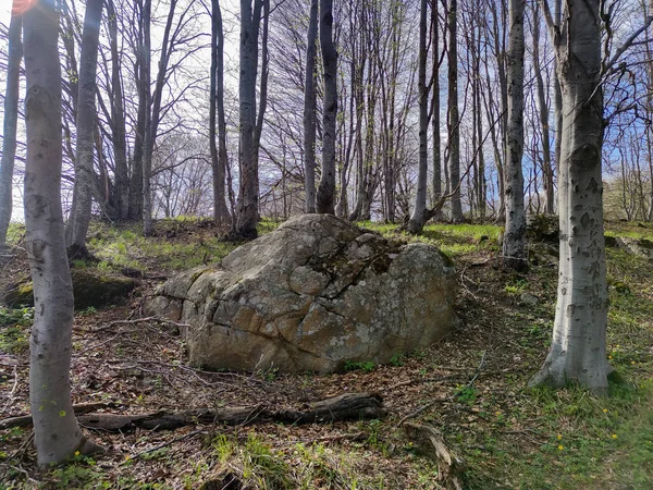 Paisaje Primaveral Montaña Vitosha Región Ciudad Sofía Bulgaria —  Fotos de Stock