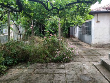 TSALAPITSA, BULGARIA - 16 Temmuz 2020: Bulgaristan 'ın Filibe Bölgesi' nin Tsalapitsa köyündeki Tipik Evler