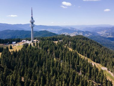 Rodop Dağları ve Snezhanka Kulesi, Smolyan Bölgesi, Bulgaristan