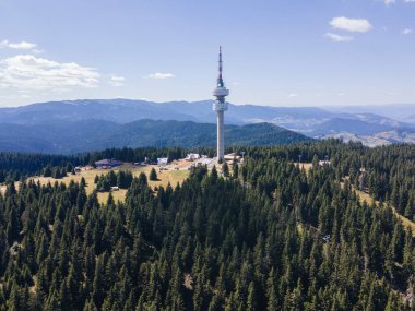 Rodop Dağları ve Snezhanka Kulesi, Smolyan Bölgesi, Bulgaristan