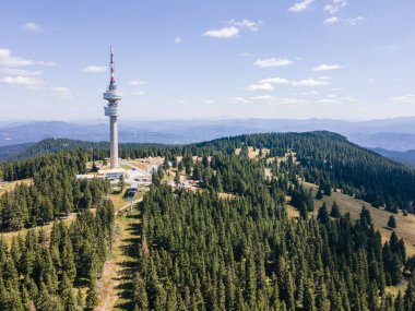 Rodop Dağları ve Snezhanka Kulesi, Smolyan Bölgesi, Bulgaristan