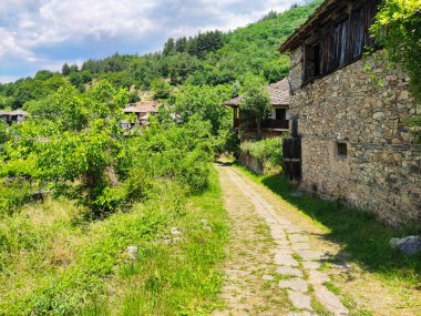 Otantik ondokuzuncu yüzyıl evleriyle Leshten Köyü, Bul