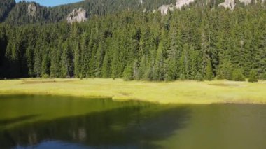 Bulgaristan 'ın Smolyan Bölgesi, Rodop Dağları' ndaki Grassy (Trevistoto) Smolyan Gölü 'nün hava manzarası