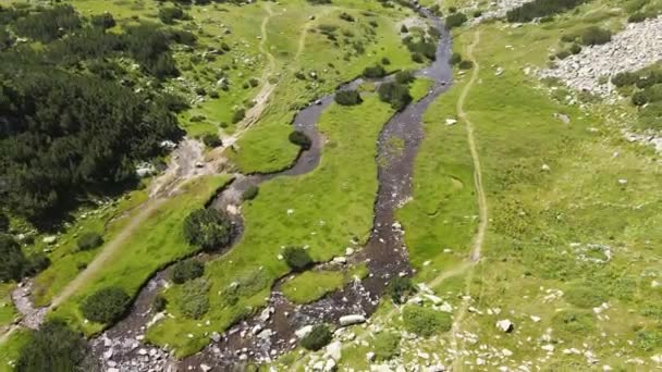 Αεροφωτογραφία Του Ποταμού Μπαντερίτσα Στο Βουνό Πιρίν Της Βουλγαρίας — Αρχείο Βίντεο