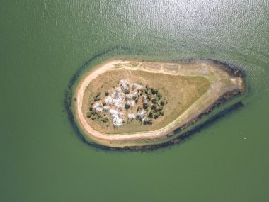 Bulgaristan 'ın Batak Reservoir, Pazardzhik bölgesinin hava manzarası