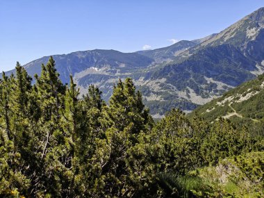 Bulgaristan 'ın Popovo Gölü yakınlarındaki Pirin Dağı' nın İnanılmaz Yaz Manzarası