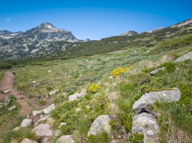 Bulgaristan 'ın Popovo Gölü yakınlarındaki Pirin Dağı' nın İnanılmaz Yaz Manzarası