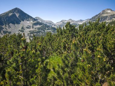 Bulgaristan 'ın Popovo Gölü yakınlarındaki Pirin Dağı' nın İnanılmaz Yaz Manzarası