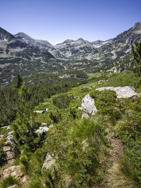 Bulgaristan 'ın Popovo Gölü yakınlarındaki Pirin Dağı' nın İnanılmaz Yaz Manzarası