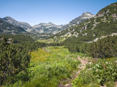 Bulgaristan 'ın Popovo Gölü yakınlarındaki Pirin Dağı' nın İnanılmaz Yaz Manzarası