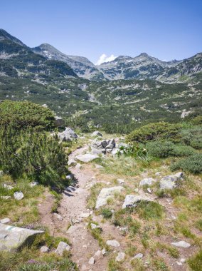 Bulgaristan 'ın Popovo Gölü yakınlarındaki Pirin Dağı' nın İnanılmaz Yaz Manzarası