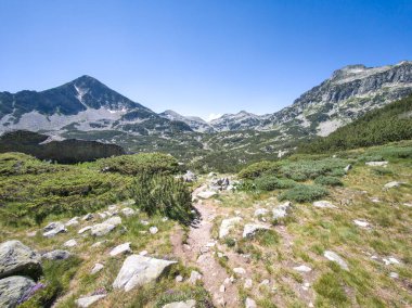 Bulgaristan 'ın Popovo Gölü yakınlarındaki Pirin Dağı' nın İnanılmaz Yaz Manzarası