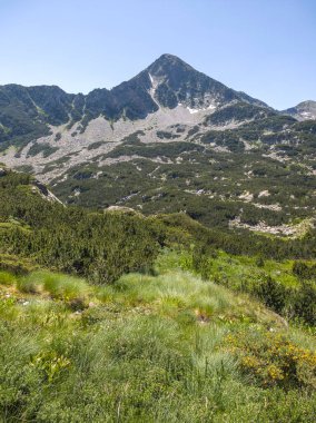 Bulgaristan 'ın Popovo Gölü yakınlarındaki Pirin Dağı' nın İnanılmaz Yaz Manzarası