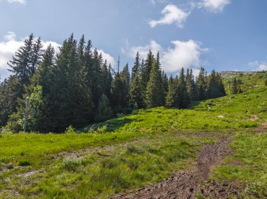 Bulgaristan 'ın Vitosha Dağı' nın Muhteşem Bahar Panoraması