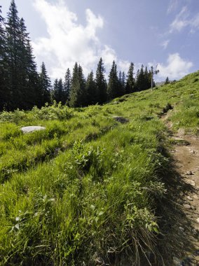 Bulgaristan 'ın Vitosha Dağı' nın Muhteşem Bahar Panoraması