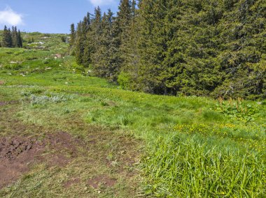 Bulgaristan 'ın Vitosha Dağı' nın Muhteşem Bahar Panoraması