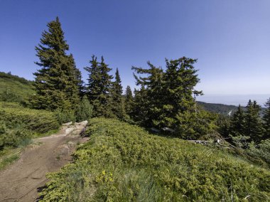 Bulgaristan 'ın Vitosha Dağı' nın Muhteşem Bahar Panoraması