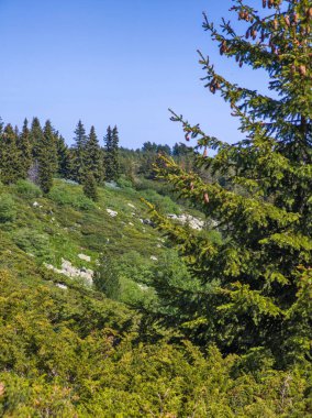 Bulgaristan 'ın Vitosha Dağı' nın Muhteşem Bahar Panoraması