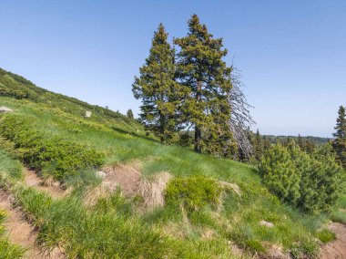 Bulgaristan 'ın Vitosha Dağı' nın Muhteşem Bahar Panoraması