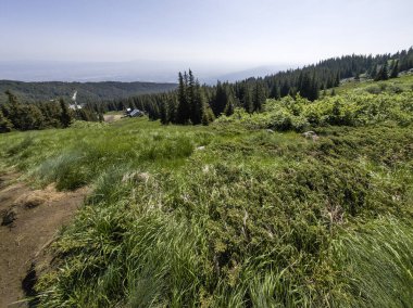 Bulgaristan 'ın Vitosha Dağı' nın Muhteşem Bahar Panoraması