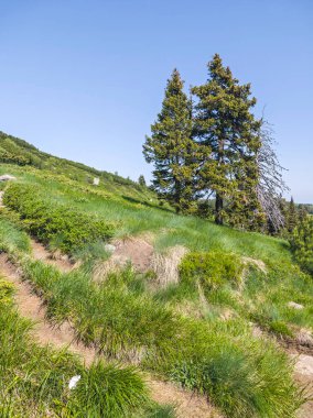 Bulgaristan 'ın Vitosha Dağı' nın Muhteşem Bahar Panoraması