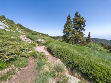 Bulgaristan 'ın Vitosha Dağı' nın Muhteşem Bahar Panoraması
