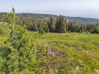 Bulgaristan 'ın Vitosha Dağı' nın Muhteşem Bahar Panoraması