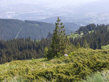 Bulgaristan 'ın Vitosha Dağı' nın Muhteşem Bahar Panoraması