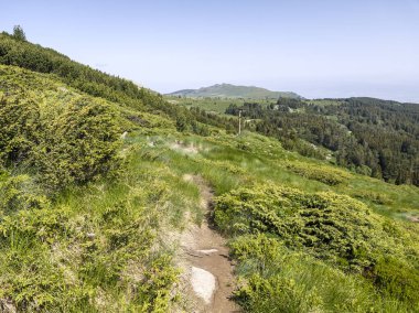 Bulgaristan 'ın Vitosha Dağı' nın Muhteşem Bahar Panoraması