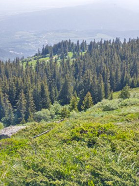 Bulgaristan 'ın Vitosha Dağı' nın Muhteşem Bahar Panoraması