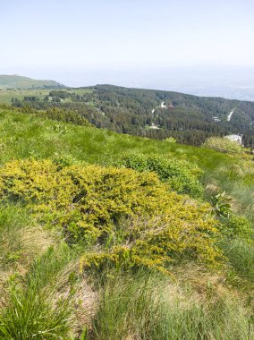 Bulgaristan 'ın Vitosha Dağı' nın Muhteşem Bahar Panoraması