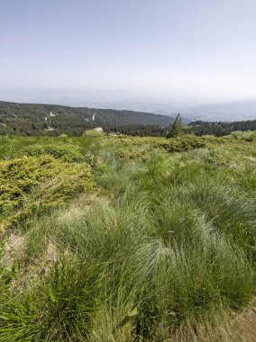 Bulgaristan 'ın Vitosha Dağı' nın Muhteşem Bahar Panoraması
