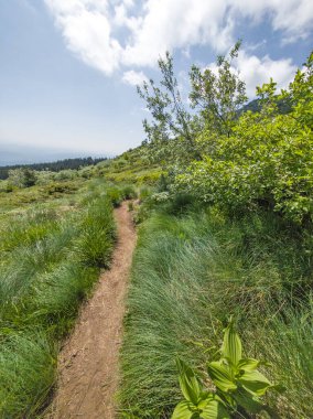 Bulgaristan 'ın Vitosha Dağı' nın Muhteşem Bahar Panoraması