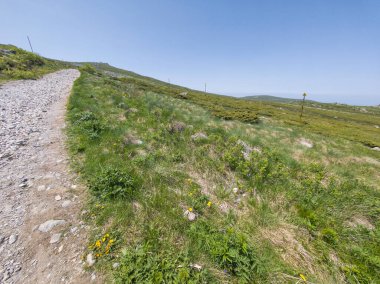 Bulgaristan 'ın Vitosha Dağı' nın Muhteşem Bahar Panoraması