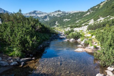 Bulgaristan 'ın Banderitsa Bölgesi yakınlarındaki Pirin Dağı' nın Şaşırtıcı Manzarası