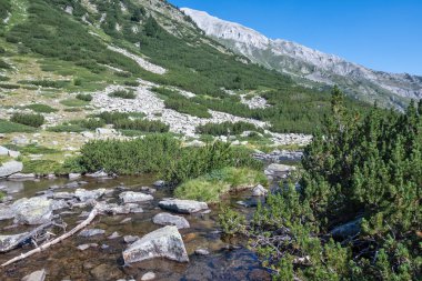 Bulgaristan 'ın Banderitsa Bölgesi yakınlarındaki Pirin Dağı' nın Şaşırtıcı Manzarası