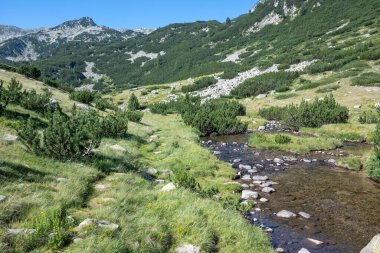 Bulgaristan 'ın Banderitsa Bölgesi yakınlarındaki Pirin Dağı' nın Şaşırtıcı Manzarası