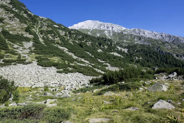 Bulgaristan 'ın Banderitsa Bölgesi yakınlarındaki Pirin Dağı' nın Şaşırtıcı Manzarası